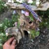 Deluxe Fairy House by Sprouted Dreams (6)