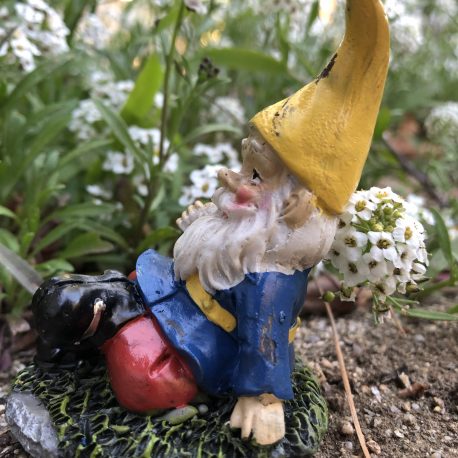 Side view of Sprouted Dreams Gnome