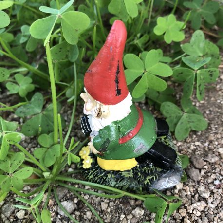 Green Garden Gnome