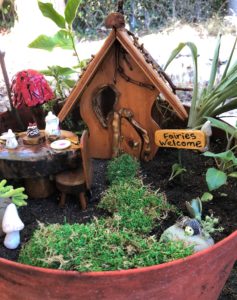 Outdoor Fairy Garden in a Pot (3)