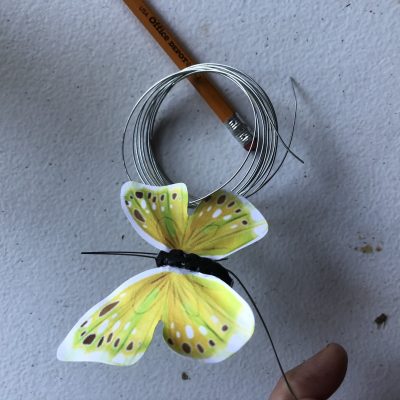 wire butterflies to long piece of wire so they can "fly" around the display
