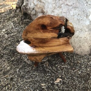Outdoor Fairy Bench Handmade by Sprouted Dreams (7)