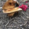 Outdoor Fairy Bench Handmade by Sprouted Dreams (8)