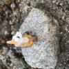 Seated Fairy Garden Fox by Sprouted Dreams (4)