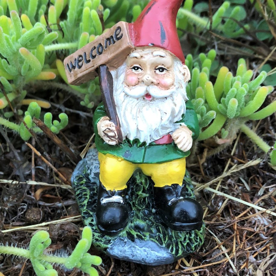 Welcome Gnome! Garden Gnome with Welcome Sign - Sprouted Dreams