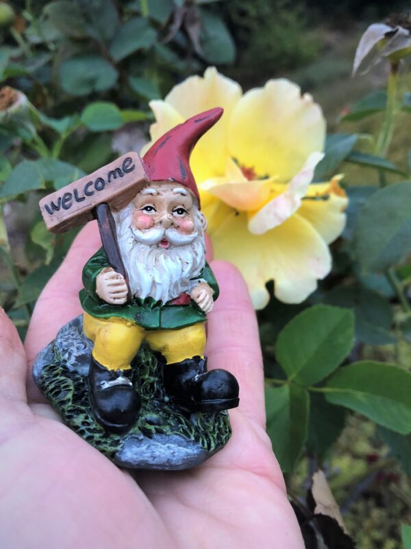 Welcome Gnome from Sprouted Dreams (5)