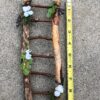 Fairy Garden Ladder handmade by Sprouted Dreams (2)