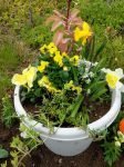Spring Yellow Fairy Garden by Sprouted Dreams4