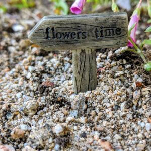 flowers time Fairy GArden Sign from Sprouted Dreams