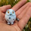 Snowy Owl2