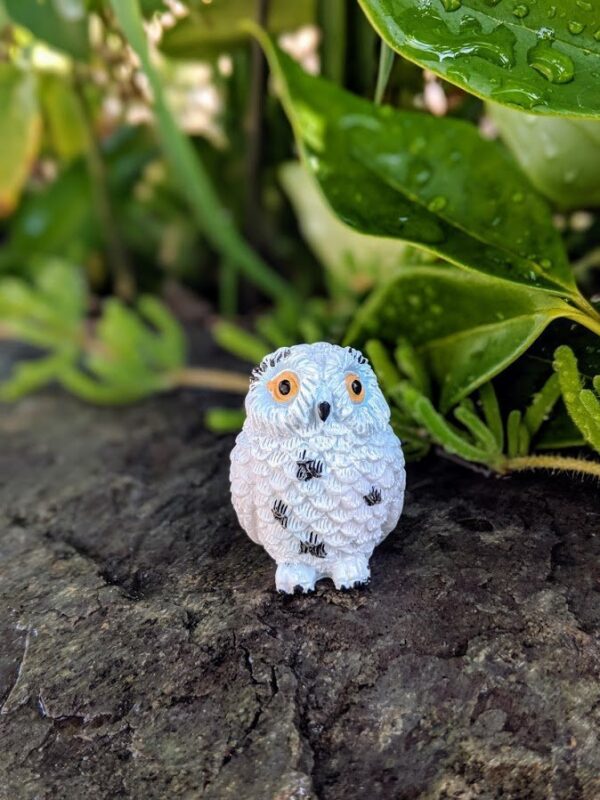 Snowy Owl5