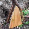 Natural Wood Fairy Door2