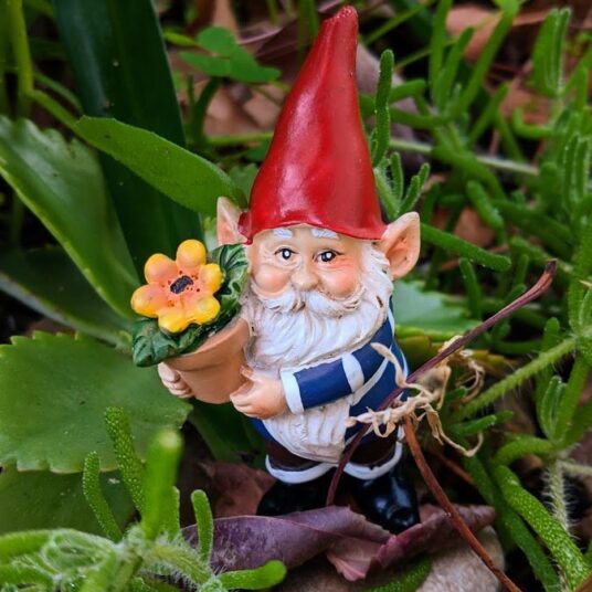 Garden Gnome with Flowerpot - Sprouted Dreams