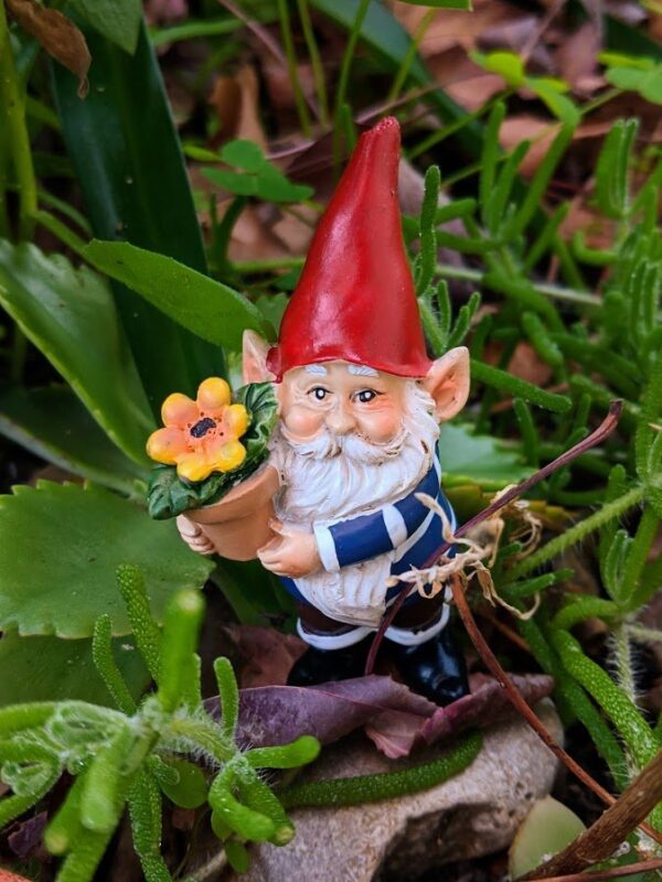 Gnome with Flowerpot2