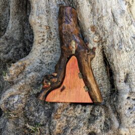 One-of-a-Kind Red Functional Fairy Door made of Oak