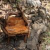 Twisted Wood Fairy Bench3