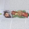 Bookmark Set Forest Fairy and Fox at night