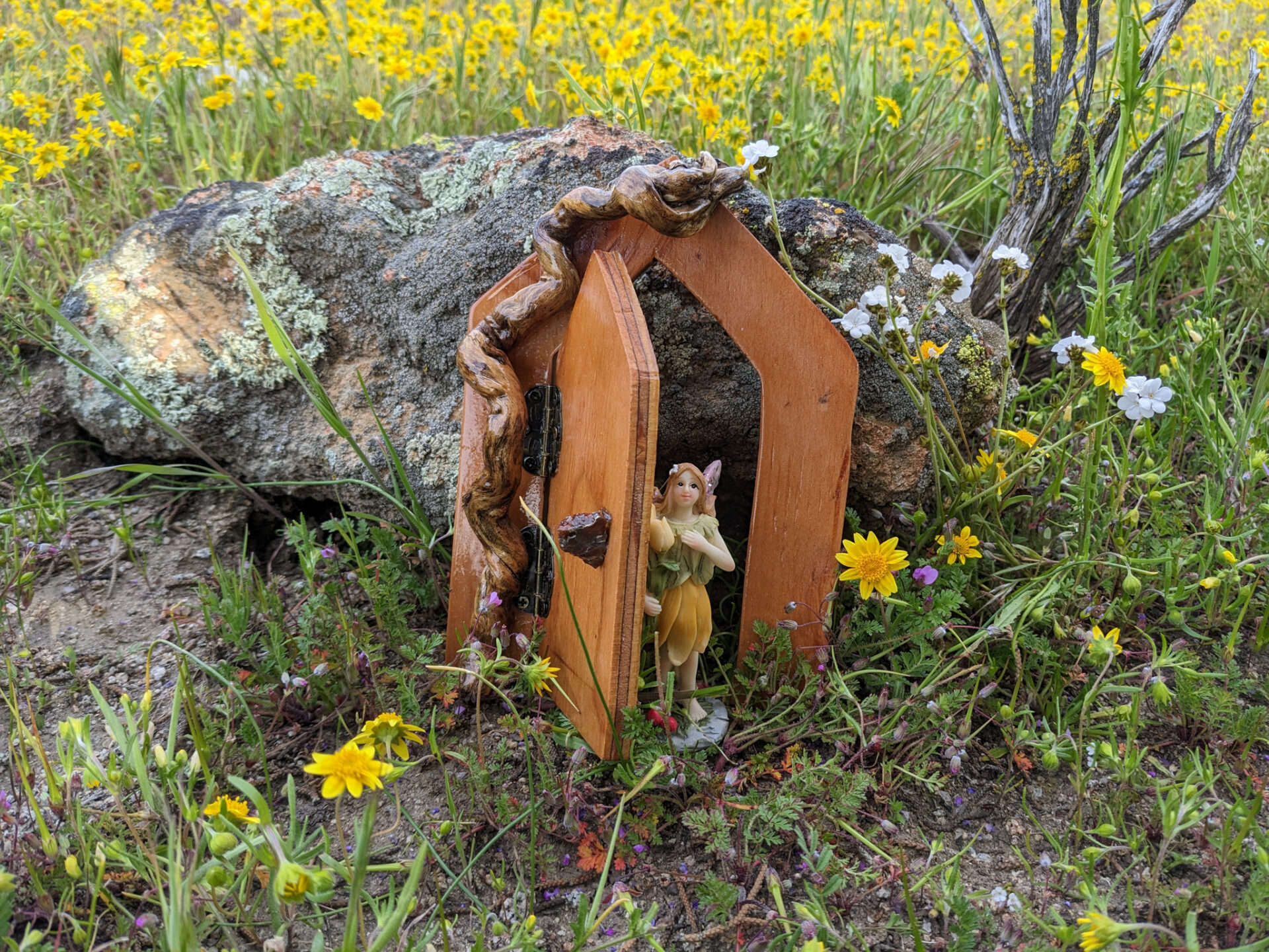 Fairy Garden Tree Door with Curly Wood Frame (14)